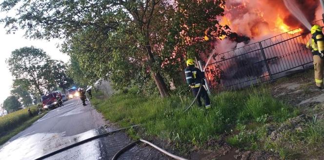 Potężny pożar w Cichoradzu pod Toruniem. Zdjęcia z akcji strażaków 