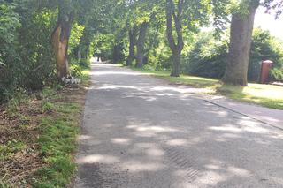 Trzech młodych chłopców ginie w koszmarnym wypadku w województwie Pomorskim