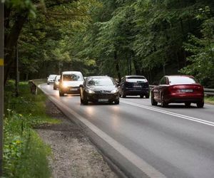 Buspas między Osową a Oliwą w Gdańsku. Trzy firmy chcą zrealizować inwestycję