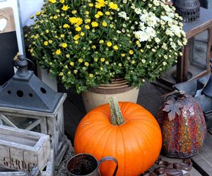 Jesienne dekoracje balkonu i tarasu