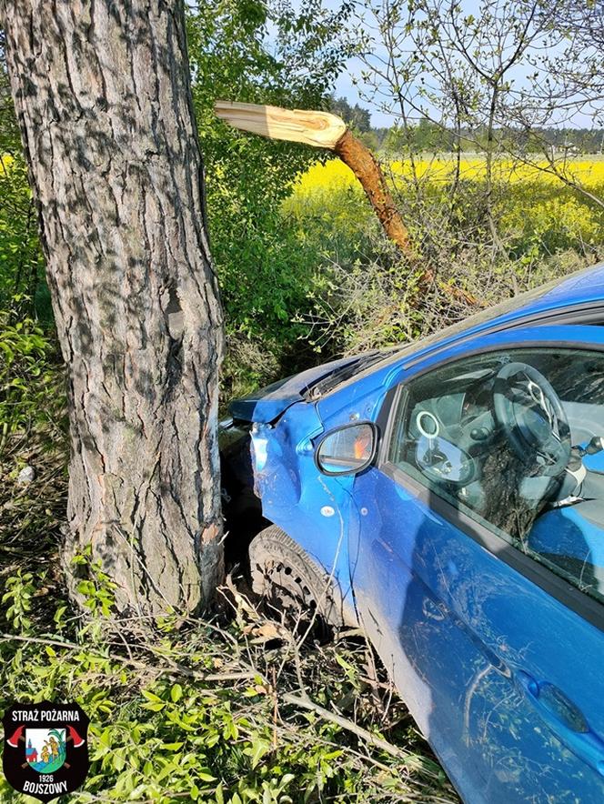 Osobówką uderzył w drzewo. W trakcie jazdy stracił przytomność