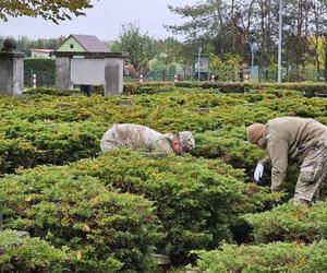 Żołnierze US Army sprzątają groby polskich żołnierzy 