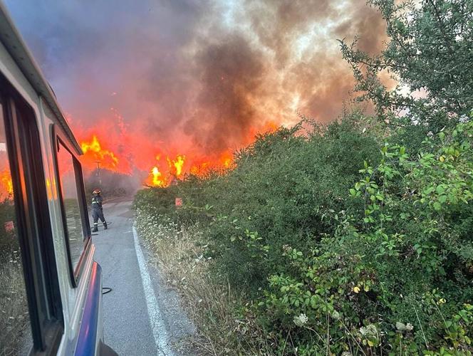 Pożary dotarły do Włoch i Chorwacji! Są ofiary, ogień podchodzi pod Dubrownik