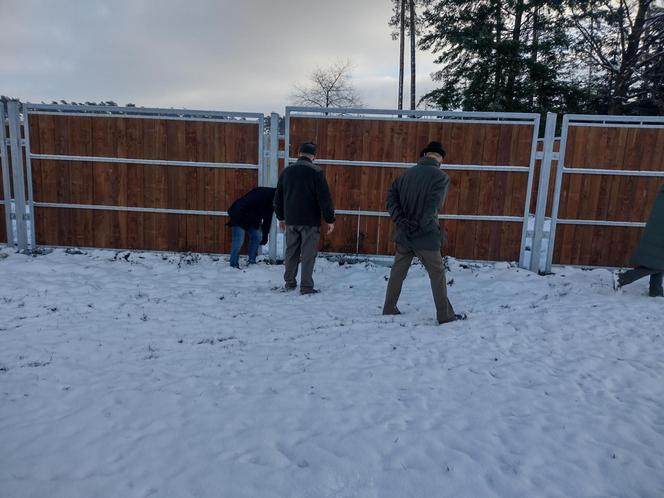 Pokazowa Zagroda Żubrów w Krajewie prawie gotowa [ZDJĘCIA]