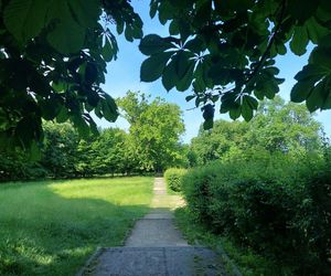 Park Miejski w Zamościu