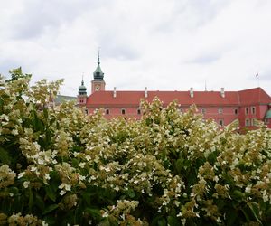 Ukryty ogród w Warszawie