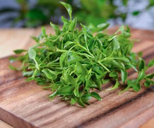 To warzywo jest najzdrowsze na świecie. Obniż cholesterol dodając ją do sałatki