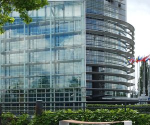 Dizajn na zawsze. Paweł Grobelny