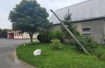 Skosił kombajnem… słupy telefoniczne. Policjanci z Gostynia ustalili sprawcę