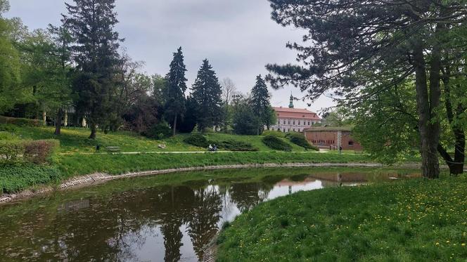Zamość