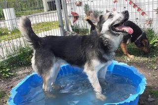 Mokka w COZ w Grudziądzu