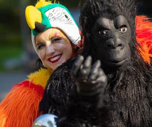 Nadchodzi Jungle Night w FACTORY Kraków. Rabaty sięgną nawet 50 procent!