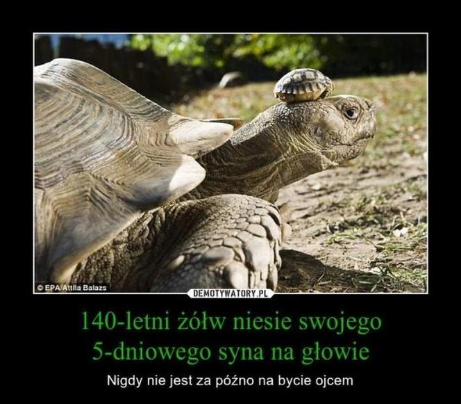 Memy na Dzień Ojca 2024