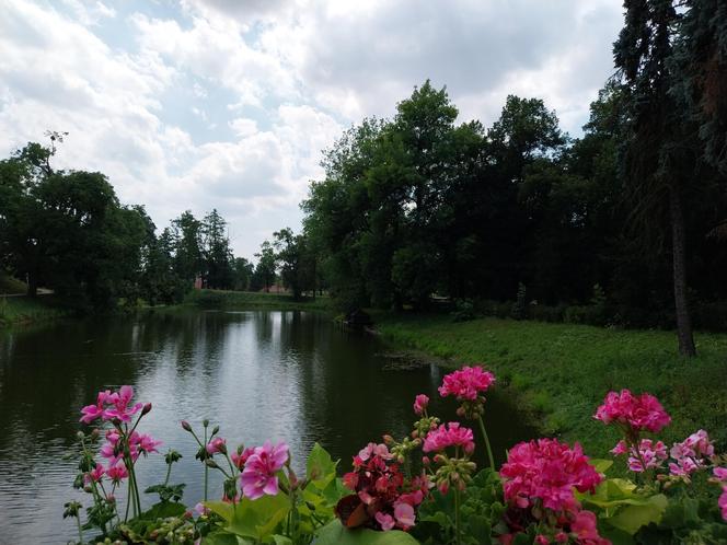 Lato w Parku miejskim w Zamościu 