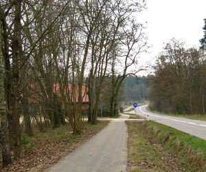 Jezioro Komosa obok miejscowości Krasne na Podlasiu