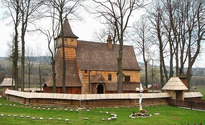 Bór na Czerwonem - tu uciekniecie przed upałem. Jak dojechać? Co zobaczyć w okolicy?