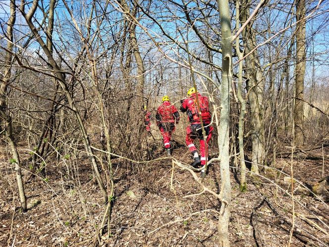 Tajemnicze zaginięcie Jowity Zielińskiej. Policja znów przeczesuje lasy i jeziora [ZDJĘCIA]