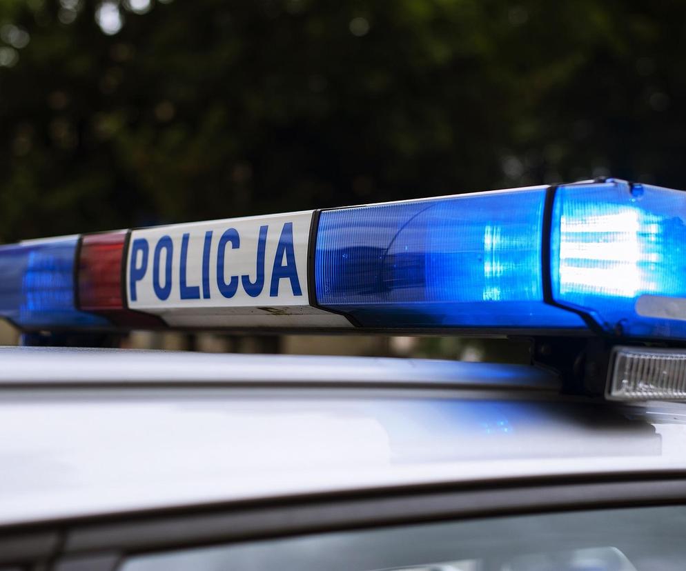 Tragiczny wypadek niedaleko Tarnowa. 58-letni mężczyzna zginął przygnieciony przez drzewo 