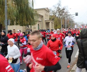 Bieg Niepodległości RUNPOLAND w Poznaniu