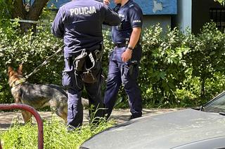 Leżała na ziemi. Na głowie miała worek. To wyglądało jak egzekucja! 51-latek z zarzutami