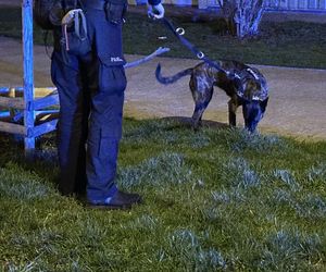 Napadał na seniorki w Warszawie. Wreszcie wpadł w ręce policji 