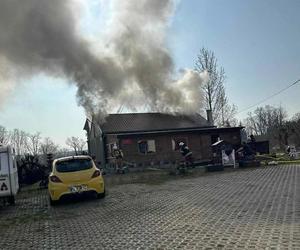 Pożar przy wiatrakach w Osiecznej