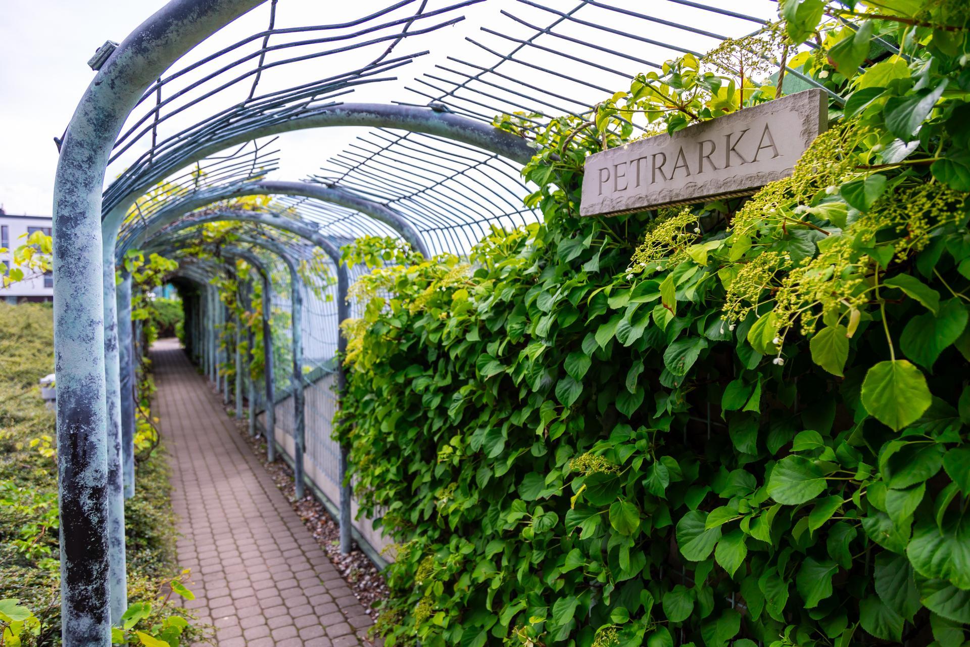 Ogród na dachu BUW w Warszawie