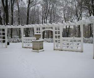Pierwszy śnieg w Ogrodzie Saskim w Lublinie w tym sezonie!