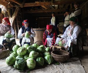 Tak ongiś siekano kapustę. Fotorelacja