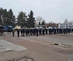 Atestacja koni służących w łódzkiej policji i straży miejskiej