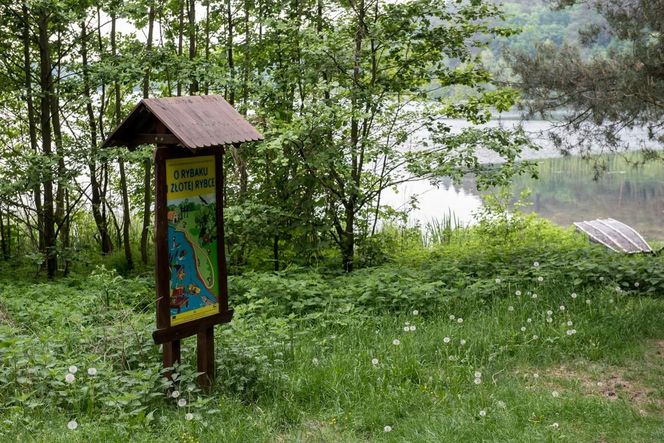 Brodnicki Park Krajobrazowy to raj dla aktywnych turystów. Odkryj bajkowe trasy i miejsca, jakie znasz z powieści kryminalnych!
