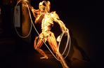 BODY WORLDS w Katowicach