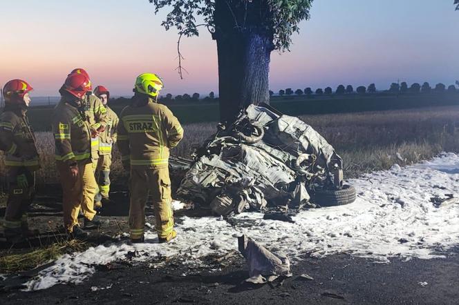 Auto uderzyło w drzewo i stanęło w płomieniach! Kierowca nie miał szans 