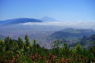 Teneryfa i woidok na Teide