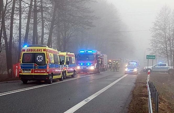 Wypadek śmiertelny w Grodźcu na DK 46