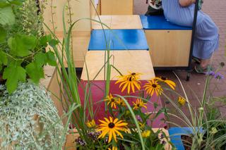 Kulkosy zainstalowane w Krakowie