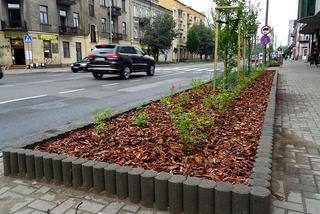 Można zgłaszać projekty do „Zielonej Ustki”