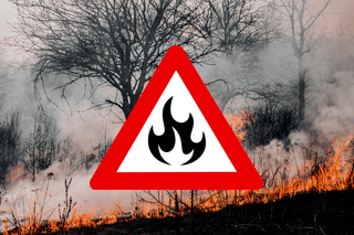 Duże zagrożenie pożarowe w Polskich w lasach [MAPA]