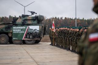 Brygada Zmotoryzowana 1. Dywizji Piechoty Legionów