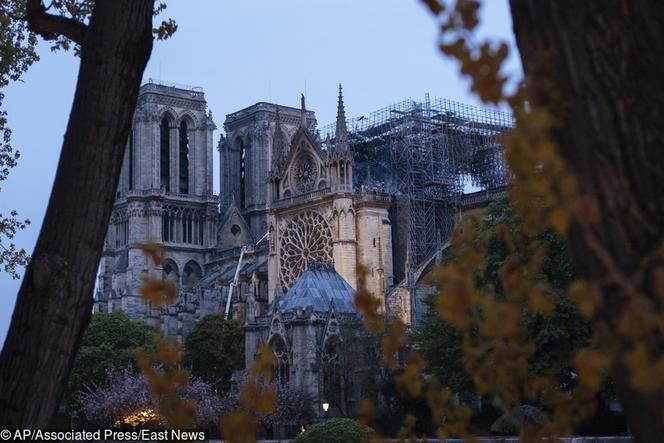 Katedra Notre Dame w Paryżu