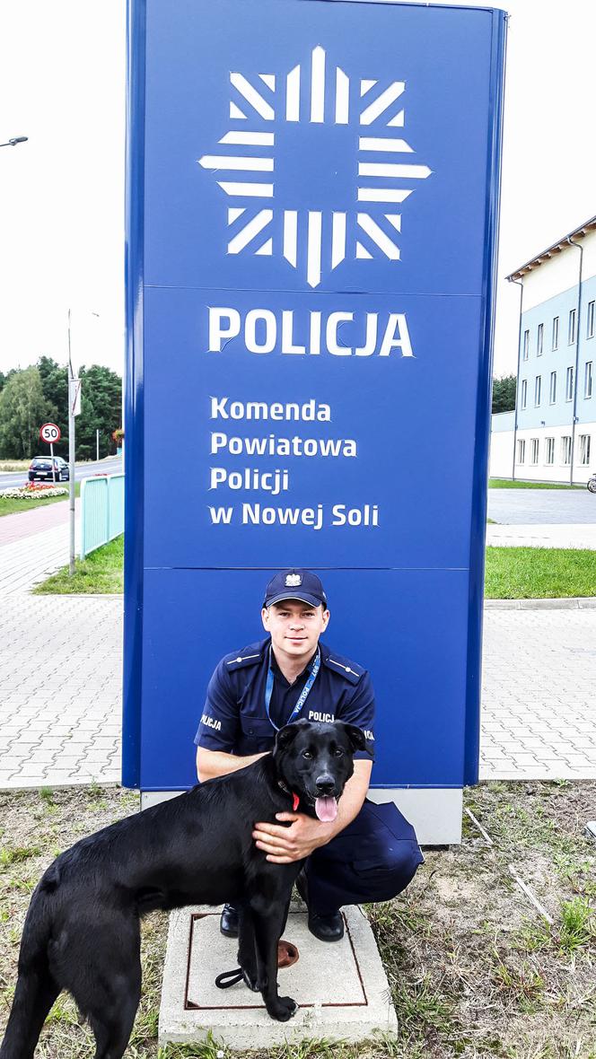 Dzięki dzielnicowemu o wielkim sercu, psiak został maskotką komendy