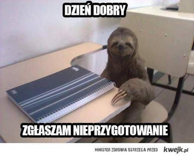 Szkoła a koronawirus: MEMY. Wrzesień w szkole w oczach internautów [ZDJĘCIA]