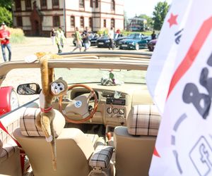 Tyski Zlot kabrioletów (09.08)
