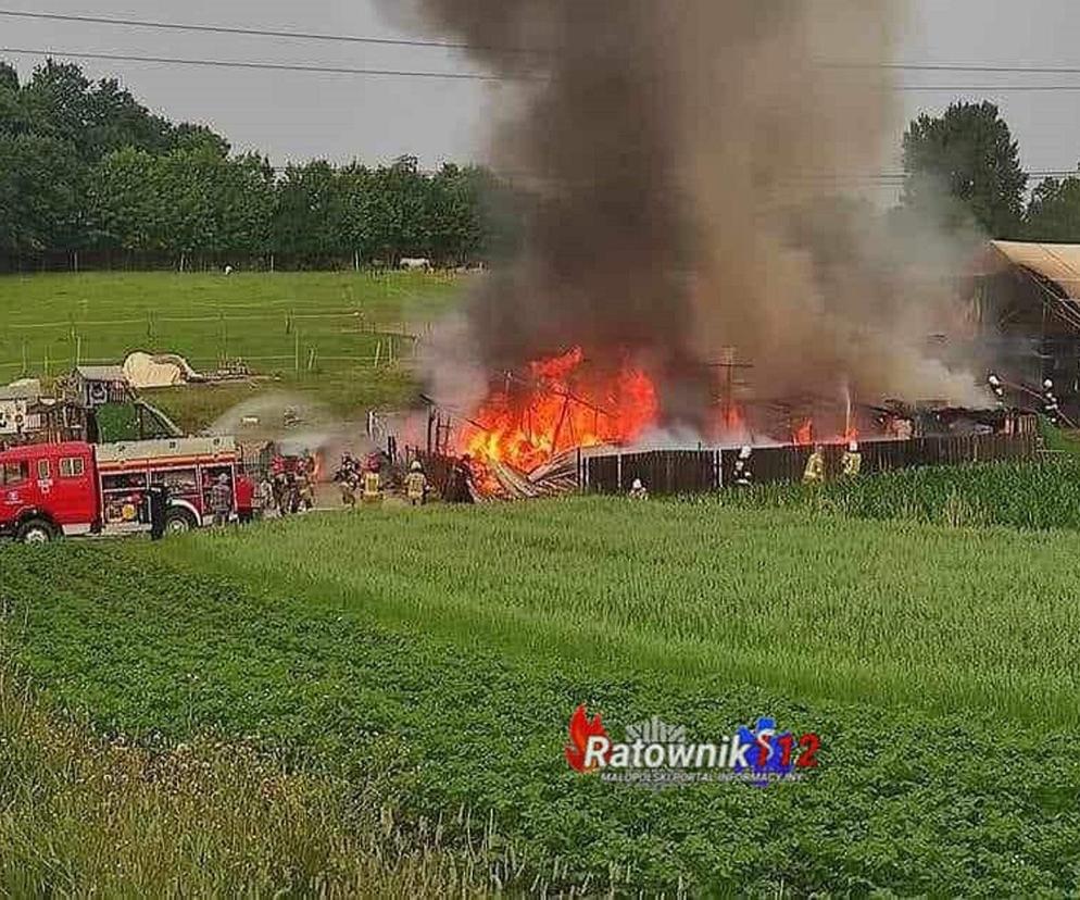 Pożar na terenie stadniny koni w Tomaszowicach