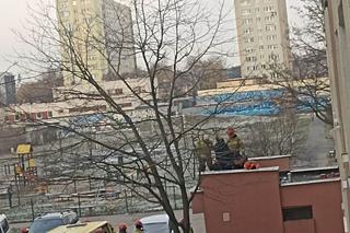 Horror w Bydgoszczy. Mężczyzna wyskoczył z wieżowca