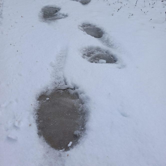 Pierwszy śnieg w Bieszczadach