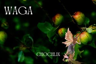 Jakie magiczne stworzenie w sobie skrywasz, według twojego znaku zodiaku? 