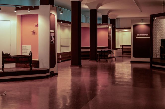 Modernizacja budynku Muzeum Górnośląskiego w Bytomiu  