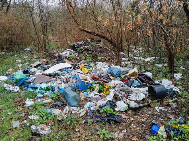Wysypisko śmieci niedaleko Jeziorka Czerniakowskiego
