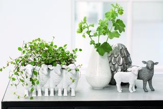 Wielkanocne dekoracje - owczy pęd